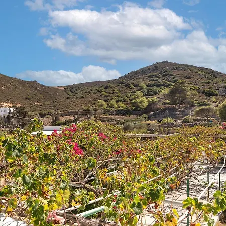 Beachfront Lampis Dolphin 3 *